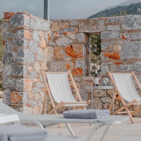 Villa Dioni Ena Pyrgos Buitenkant foto